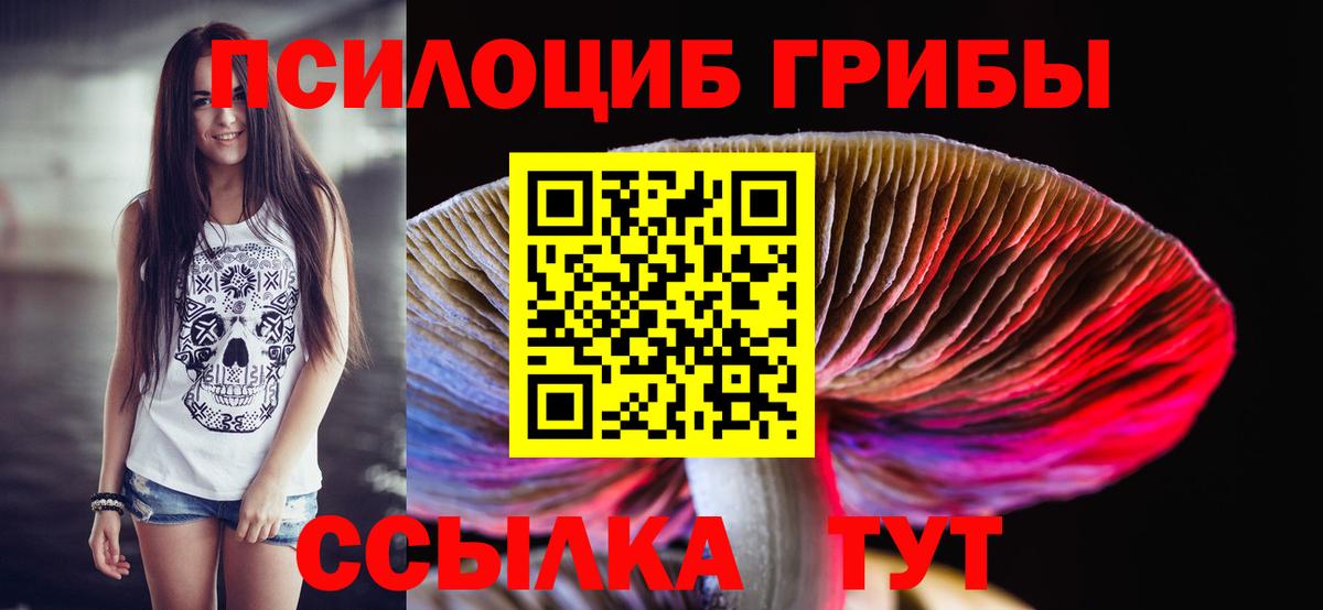 Псилоцибиновые грибы мухоморы  Вход с VPN  Вязники  Галлюциногенные грибы Psilocybine cubensis 