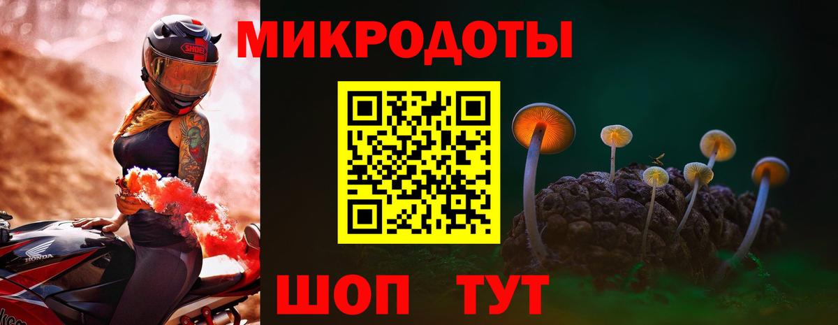 Галлюциногенные грибы ЛСД Вязники
