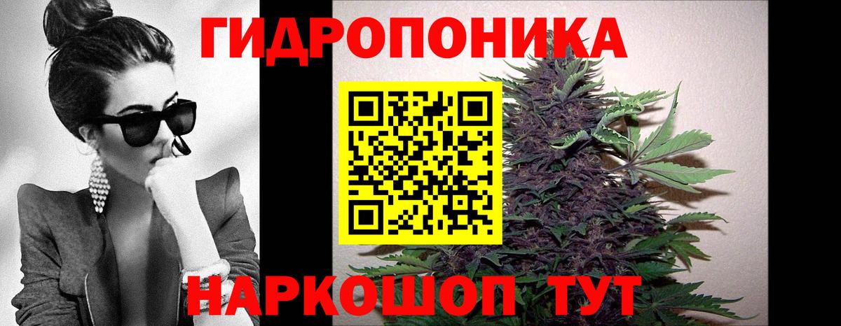 Каннабис Ganja  Конопля конопля  Вход с VPN  Вязники  Шишки марихуана ГИДРОПОН 